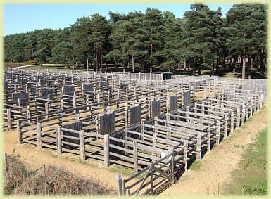 Beaulieu Road pony sale yard