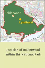 Location of Bolderwood Ornamental Drive