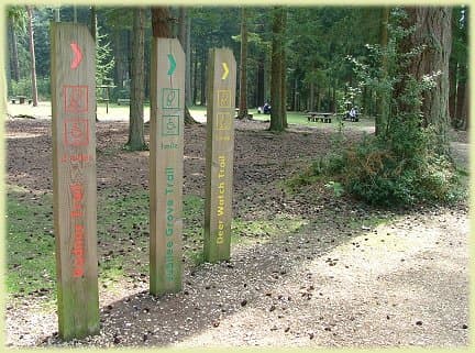 Graded walks start and finish at the picnic area