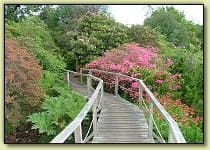 Furzey Gardens