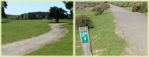 new forest road cycle routes