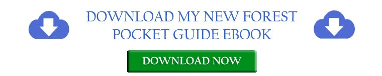 New Forest National Park Pocket Guide ebook New Forest National Park Pocket Guide ebook