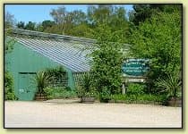 New Forest Wildlife Park Attractions