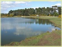 janesmoor pond s