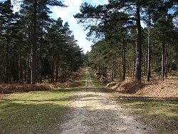 Acres Down walk Crossroads