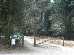 Acres Down walk Entrance