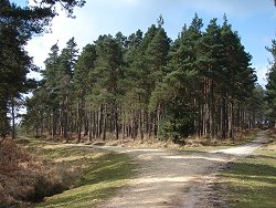 Acres Down walk Highland Water