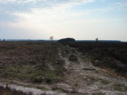 Ashley Walk Muddy Track