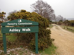 Ashley Walk car park
