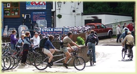 Bike hire in the New Forest