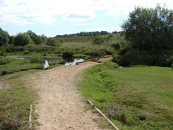 Burley walk Wetlands