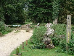 Wilverley Inclosure walk