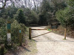 Fritham walk Car Park