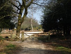 Fritham walk Entrance To Inclosure