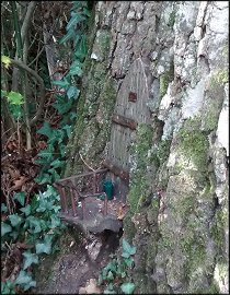 Furzey Gardens Fairy Door