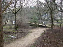 Holm Hill walk Bridge Across Ober Water