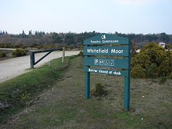 Holm Hill walk Car Park