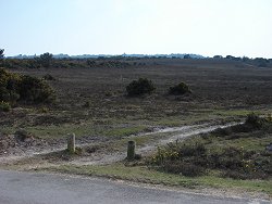 Holm Hill walk Entrance