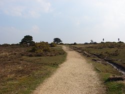 Holm Hill walk Exit Path