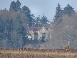 Holm Hill walk Rhinefield House Hotel