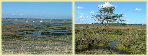 Keyhaven marshes And Beaulieu Heath