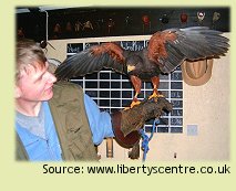 Liberty's Raptor and Reptile Centre Bird