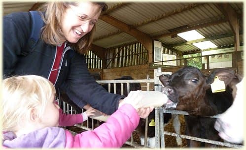 Longdown Activity Farm