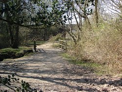 Matley walk Boggy Path