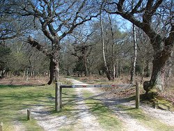 Matley walk Car Park