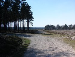 Matley walk Crossroads