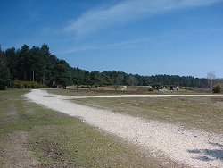 Matley walk Deerleap Enclosure