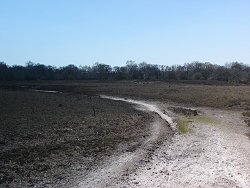 Matley walk Down Hill