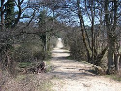 Matley walk Fulliford Bog