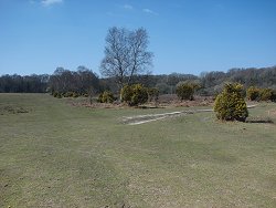 Matley walk Grassy Plain