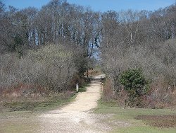 Matley walk Small Bridge