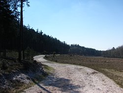 Matley walk Towards Small Stream