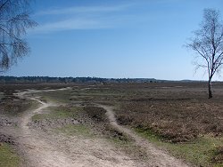 Matley walk Track