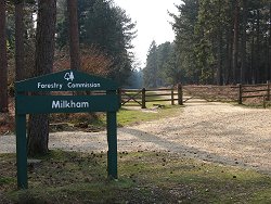 Milkham Inclosure walk Car Park