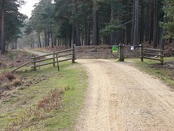 Milkham Inclosure walk Entrance Gate