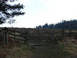 Milkham Inclosure walk Gate To Narrow Path