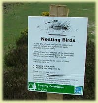 Nesting Birds Warning