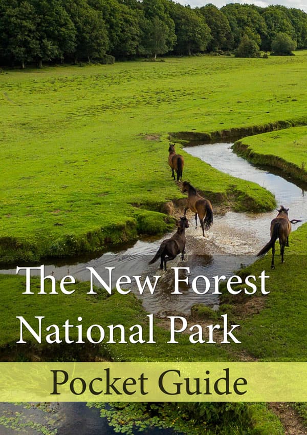 New Forest National Park E Book Cover