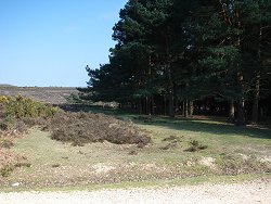 Slufters Inclosure walk Entrance