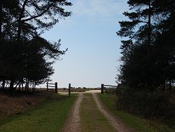 Slufters Inclosure walk Main Track