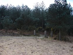 Slufters Inclosure walk Old Gate