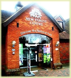 The New Forest Museum