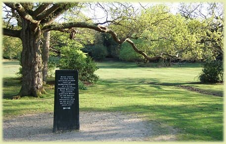 The Rufus Stone