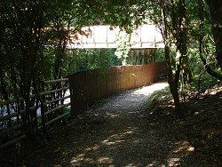 Wilverley Inclosure walk A35 Road Bridge