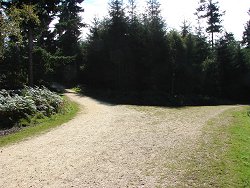 Wilverley Inclosure walk Main Gate