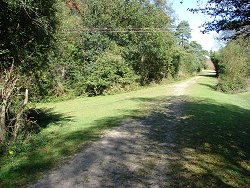 Wilverley Inclosure walk Small Track